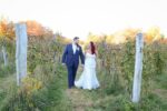 Vineyard Wedding
